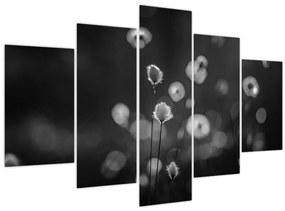 Obraz - Cottongrass na lúke (150x105 cm)