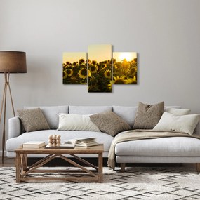 Obraz slnečnicového poľa (90x60 cm)