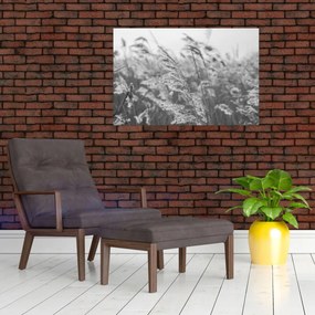 Obraz - Tráva vo vetre (90x60 cm)