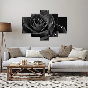 Obraz - Červená ruža (150x105 cm)