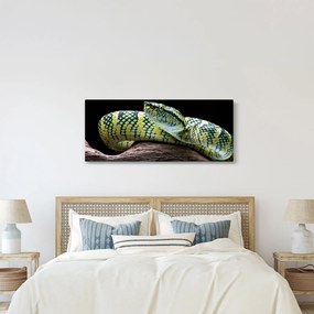 Obraz - Štrkáč Waglerov (120x50 cm)