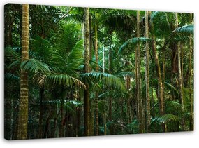 Obraz na plátně Palmy Les Příroda - 100x70 cm