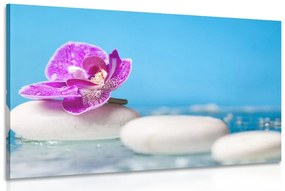 Obraz orchidea a Zen kamene Varianta: 90x60
