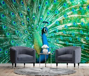 Gario Fototapeta Farebný páv Materiál: Vliesová, Rozmery: 350 x 245 cm