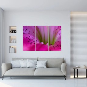 Detail kvetu - moderný obraz