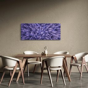 Obraz zasnežených stromov (120x50 cm)