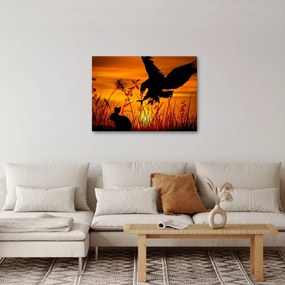 Obraz siluety dravca (70x50 cm)