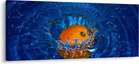 Obraz - pomaranč vo vode (120x50 cm)