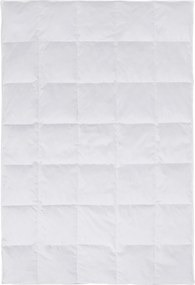 XXXLutz CELOROČNÁ PRIKRÝVKA, 135/200 cm, perie, páperie Boxxx - Prikrývky & vankúše - 007992077501