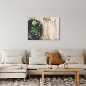 Obraz sukulentov v skle (70x50 cm)