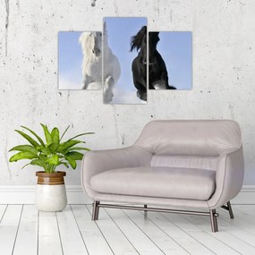 Obraz - Kone v zime (90x60 cm)