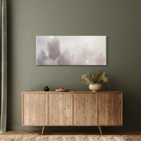 Obraz - Krókusy (120x50 cm)