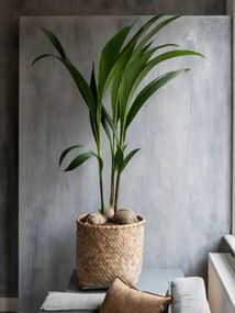 Kvetináč Bohemian Zayn M Bamboo 55x60 cm
