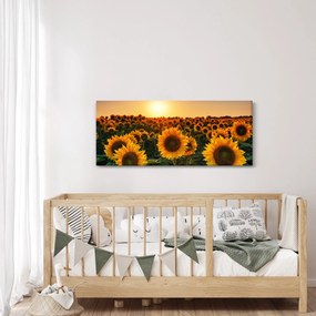 Obraz - Slnečnica (120x50 cm)