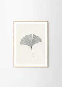 Plagát 50x70 cm Ginkgo Leaf – Ana Frois – The Poster Club