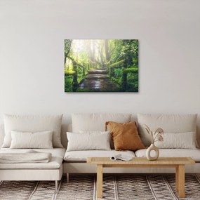 Obraz - drevené schody v lese (70x50 cm)