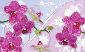 Fototapeta - Orchidea (152,5x104 cm)