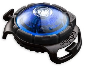 LED svetlo na obojok Blue – Orbiloc