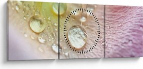 Obraz - Kvapky rosy (s hodinami) (90x30 cm)