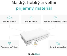 Uterák Classic malý hnedý 30x50 cm, 100% bavlna