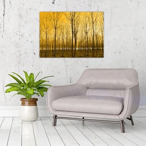 Sklenený obraz - Plantáž stromov (70x50 cm)