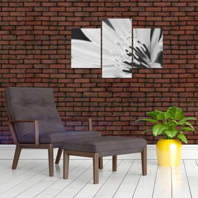 Obraz - Čiernobiely kvet (90x60 cm)