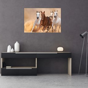 Obraz - Stádo koní (90x60 cm)