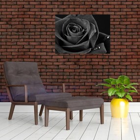 Sklenený obraz - Červená ruža (70x50 cm)