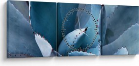 Obraz - Agáve (s hodinami) (90x30 cm)