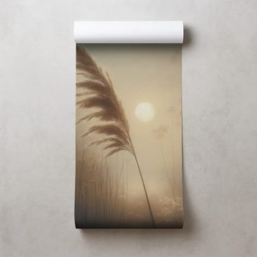 Tapeta pampová tráva v rannej hmle