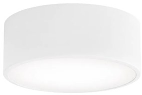 Kúpeľňové stropné svietidlo CLEO 1xE27/24W/230V pr. 20 cm biela IP54