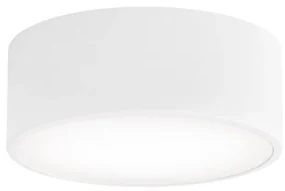 Temar Kúpeľňové stropné svietidlo CLEO 1xE27/24W/230V pr. 20 cm biela IP54 TM0130