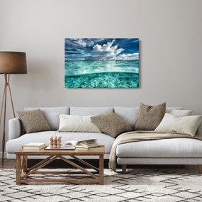 Obraz - Pohľad pod morskú hladinu (90x60 cm)