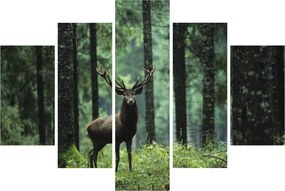 Obraz - Jeleň v hlbokom lese (150x105 cm)