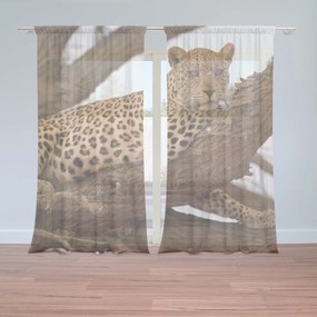 Sablio Záclony Leopard 2: 2ks 150x250cm