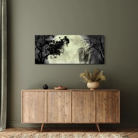 Obraz - Spln nad hladinou, čiernobiely variant (120x50 cm)