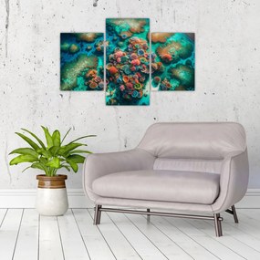 Obraz - Pohľad na more (90x60 cm)
