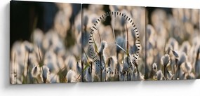 Obraz - Biely páperník (s hodinami) (90x30 cm)