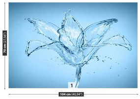 Fototapeta Vliesová Vodný kvet 416x254 cm