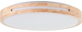 Brilliant - LED Stmievateľné stropné svietidlo WOODBURY LED/24W/230V pr. 39 cm