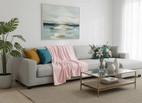 Mikroplyšová deka SOFT, svetloružová Rozmer: 200 x 220 cm
