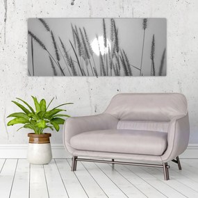 Obraz - Lúka pri západe slnka (120x50 cm)