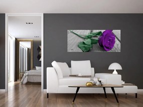 Obraz - Fialová ruža so zelenou stonkou (120x50 cm)