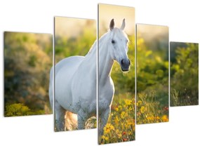Obraz bieleho koňa na lúke (150x105 cm)