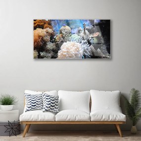 Obraz plexi Koralový útes príroda 100x50 cm