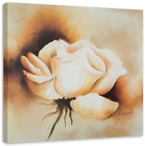 Obraz na plátně Růže Květina Bílá příroda - 40x40 cm