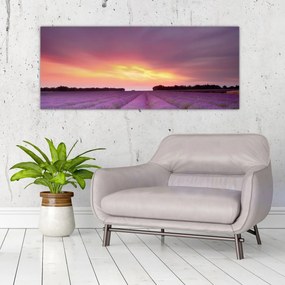 Obraz - Levanduľové pole (120x50 cm)