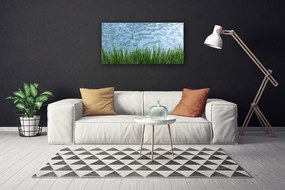 Obraz Canvas Tráva voda príroda 120x60 cm