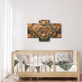 Obraz - Rieka v tvare srdca (90x60 cm)
