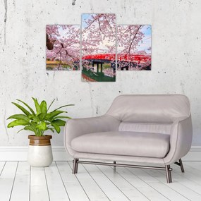 Obraz - Hirosaki, Japonsko (90x60 cm)